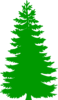 Green Tree Logo Clip Art