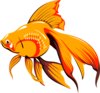 Golden Fish Clip Art