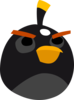 Black Angry Bird Without Outlines (blinking) Clip Art