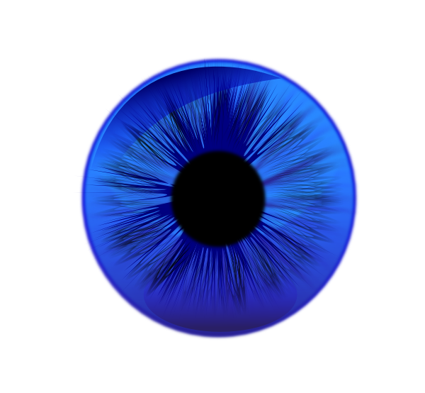 Eye Contact Lens Blue Clip Art at Clker.com - vector clip art online,  royalty free & public domain