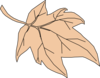 Tan Autumn Leaf Clip Art
