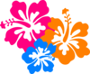 Hibiscus Flower 6 Clip Art