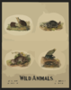 Wild Animals Clip Art