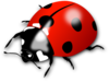 Red Lady Bug Clip Art