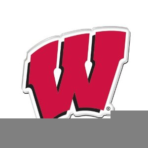 Uw Badger Clipart | Free Images at Clker.com - vector clip art online ...