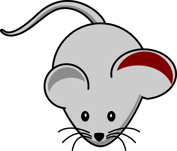 Mouse Ear Inflamation Clip Art at Clker.com - vector clip art online ...