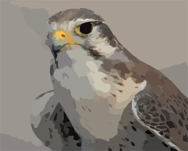 Peregrine Falcon Clip Art at Clker.com - vector clip art online