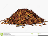 Free Clipart Pile Of Leaves Image