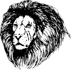 Lion 20 Clip Art