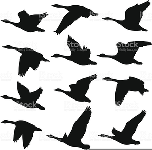 Geese Clipart | Free Images at Clker.com - vector clip art online ...