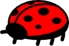 Peterm Ladybug Clip Art