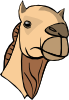 Camel Head Clip Art