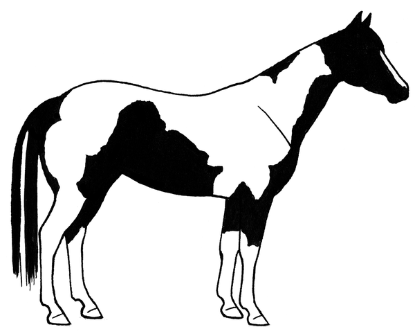 Trail Horse Clipart | Free Images at Clker.com - vector clip art online ...