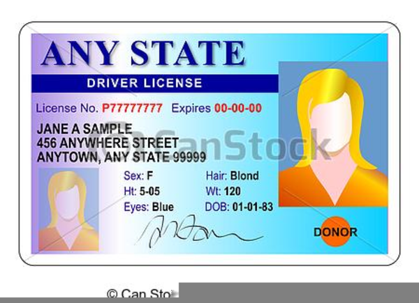 Free Drivers License Clipart Free Images At Vector Clip