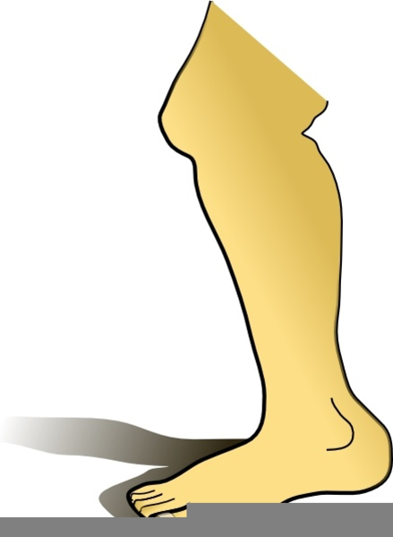 Leg Clip Art | Free Images at Clker.com - vector clip art online ...