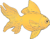 Golden Fish Clip Art