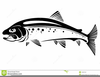 Free Trout Clipart Black And White Image