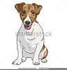 Clipart Of Jack Russell Terrier Image