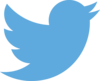 Twitter Logo Blue Image