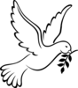 Dove Image