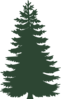 Small Pine Tree Clip Art