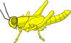 Locust Clip Art