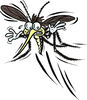 Mosquito Image