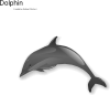 Jumping Dolphin Clip Art