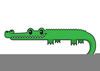Vector Crocodile Illustration Image