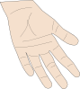 Hand Palm Clip Art