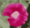 Hollyhock Clip Art