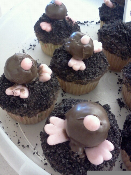 Mole Rat Cupcakes | Free Images at Clker.com - vector clip art online ...