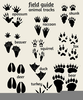 Alligator Tracks Clipart Image