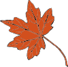 Maple Leaf Clip Art