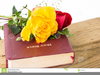 Free Clipart Of Holy Bible Image