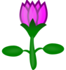 Lotus Clip Art