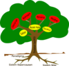 Tree Clip Art