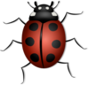 Lady Bug Clip Art