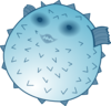 Blowfish Clip Art