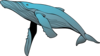 Whale Clip Art