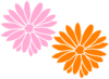 Dahlia Pink Clip Art