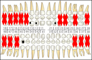 Pts Clip Art at Clker.com - vector clip art online, royalty free ...