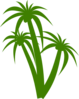 Triple Palm Tree Clip Art