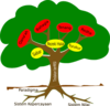 Tree Clip Art