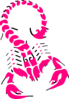 Pink Scorpian Clip Art