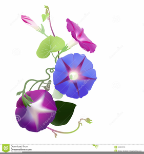 Free Morning Glory Clipart | Free Images at Clker.com - vector clip art ...