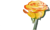 Yellow Rose Clip Art