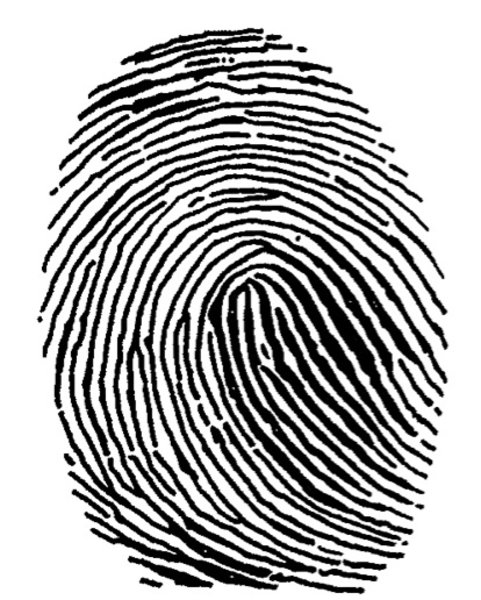 Fingerprint | Free Images at Clker.com - vector clip art online ...