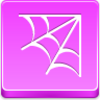 Spider Web Icon Image