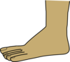 Foot Clip Art